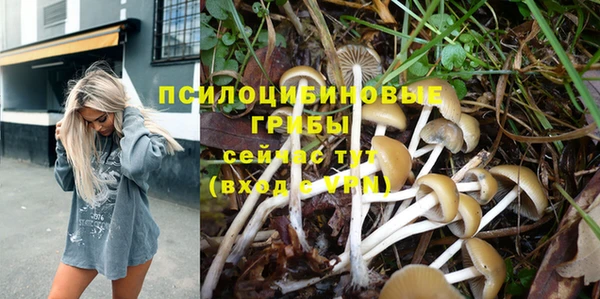 jwh Богородицк
