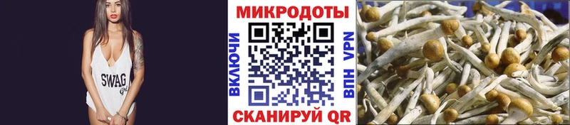 mega вход  Отрадный  Галлюциногенные грибы мицелий  купить закладку 